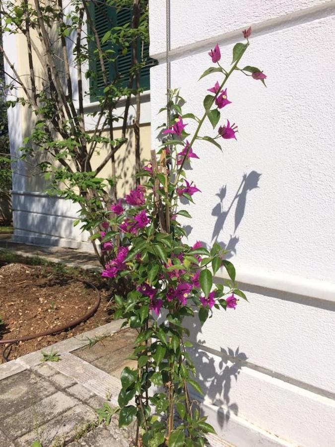 Villa Liana Sourpi Eksteriør billede